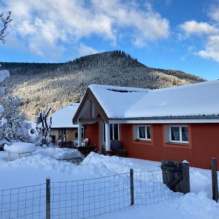 Gite Le Cerf Volant Raon-sur-Plaine Εξωτερικό φωτογραφία