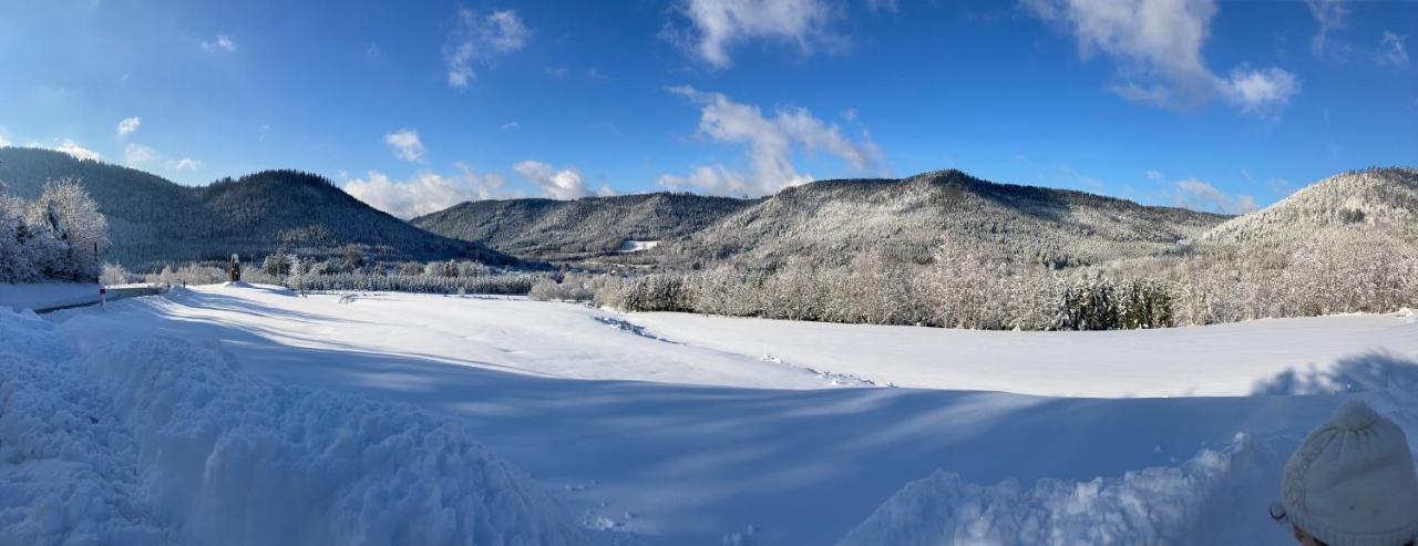 Gite Le Cerf Volant Raon-sur-Plaine Εξωτερικό φωτογραφία